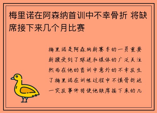 梅里诺在阿森纳首训中不幸骨折 将缺席接下来几个月比赛